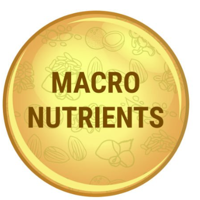 Nutrient-rich icon